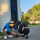 알럽도그 이미지