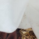 곤륜한의원 이미지