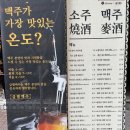 금별맥주라페 | [라페/술집] 금별맥주 라페스타점 후기