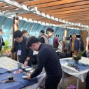 마음건강치유(힐링과명상) 이미지