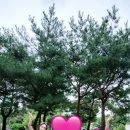 샤인무용단 이미지