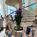 블루몰 | 잠실 롯데월드몰 카페｜블루보틀 내돈내산 후기 (2022 vs 2026 가격, 이렇게 올랐다고?)