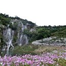 모양성로 이미지