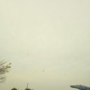 파주 당일치기 여행 어린이날 가볼만한곳 임진각 평화누리공원 평화랜드(놀이기구 종류, 할인) 곤돌라