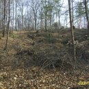 참수농장 이미지