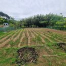 내단농장 이미지