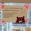 합천성태 태양광발전소 | [서울/길음] 동네서점 햇살속으로