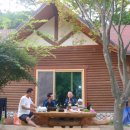 삼일투어 Daum카페