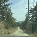 클럽레스피아 | 태안 글램핑장 클럽레스피아 태안 솔직후기 @ 가성비 좋은 해수욕장 도보 3분 거리 숙소