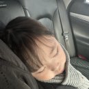 가덕농장 | 청주 딸기농장 팜앤딸기 아이와 가볼만한곳 추천