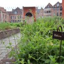 과수원 피스 이미지