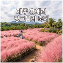 "9월 14일 개막!" 제주 휴애리 핑크뮬리축제 일정 & 입장료 할인받고 감귤체험까지 즐긴 꿀팁