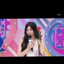 포포 이미지