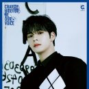 세림 카카오 검색결과