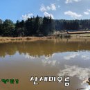 유수암리 산새미오름방묘 | [제주오름 82] 산새미오름 - 밤새 만든 한라산 설경이 멋진 날, 하늘도 아름다웠다.