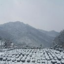 홍천큰집농원 이미지