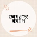 퍼키퍼키 | 강아지밥그릇 퍼키퍼키, 편안한 식사시간을 위한 혁신적 반려견 식기 리뷰