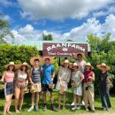 글로리팜 | [엄마랑 치앙마이 5박 7일] 반 팜 타이 쿠킹스쿨 후기 (가격, 예약 팁)