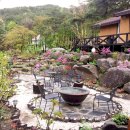 자연의소리 이미지