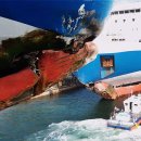 신안센터-2 이미지