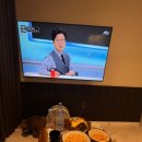 [가평 시설좋은 호텔추천] 강아지들도 견주들도 반한 힐링 여행! &#34;호텔 그라체 가평&#34;