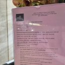 나트랑 시내 최강 가성비 벤타나 호텔 내돈내산 후기