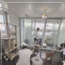 강아지 보호센터 이미지