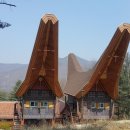 아세안자연휴양림 이미지