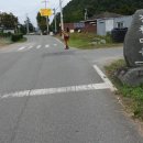 대치마을회관 이미지