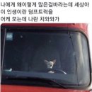 역전닭집 이미지