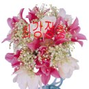 서울시 춘계 고교야구 주말리그(최강장충:서울고) 이미지