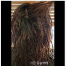 새봄헤어 (다정점) | 손상모 복구와 자연스러운 펌 성공! 다정동미용실 새봄헤어 다정점 솔직 후기