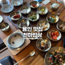 처인구 한정식 푸짐한 15첩 한식 추천하는 밥상천하 용인직영점 후기