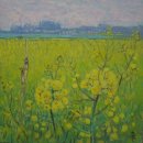 남해-264 이미지