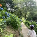 유정1955 이미지