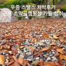 초막골캠핑장 | 친구부부 초대캠핑으로 찾은 군포 초막골캠핑장 우중캠핑 후기