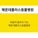 코아동물병원 이미지