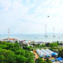 오션비치스파애견펜션 이미지