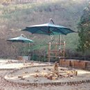 유아숲체험원(1) 이미지