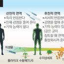 명성수삼 이미지