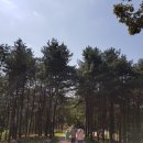 무령왕릉 이미지