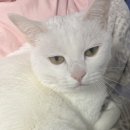 강동-천호-391 | 11월아 잘가