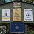 제주서부렌터카