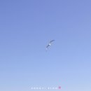 사량도펜션 1 이미지