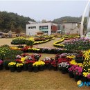 우포늪 광장 이미지