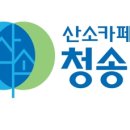 산소카페 청송군민음악회 Daum카페