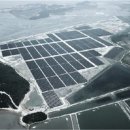 세계 태양광발전소 이미지