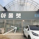 쎄드데플란타 이미지