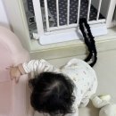 형진유통