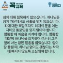 콩깍지 이미지